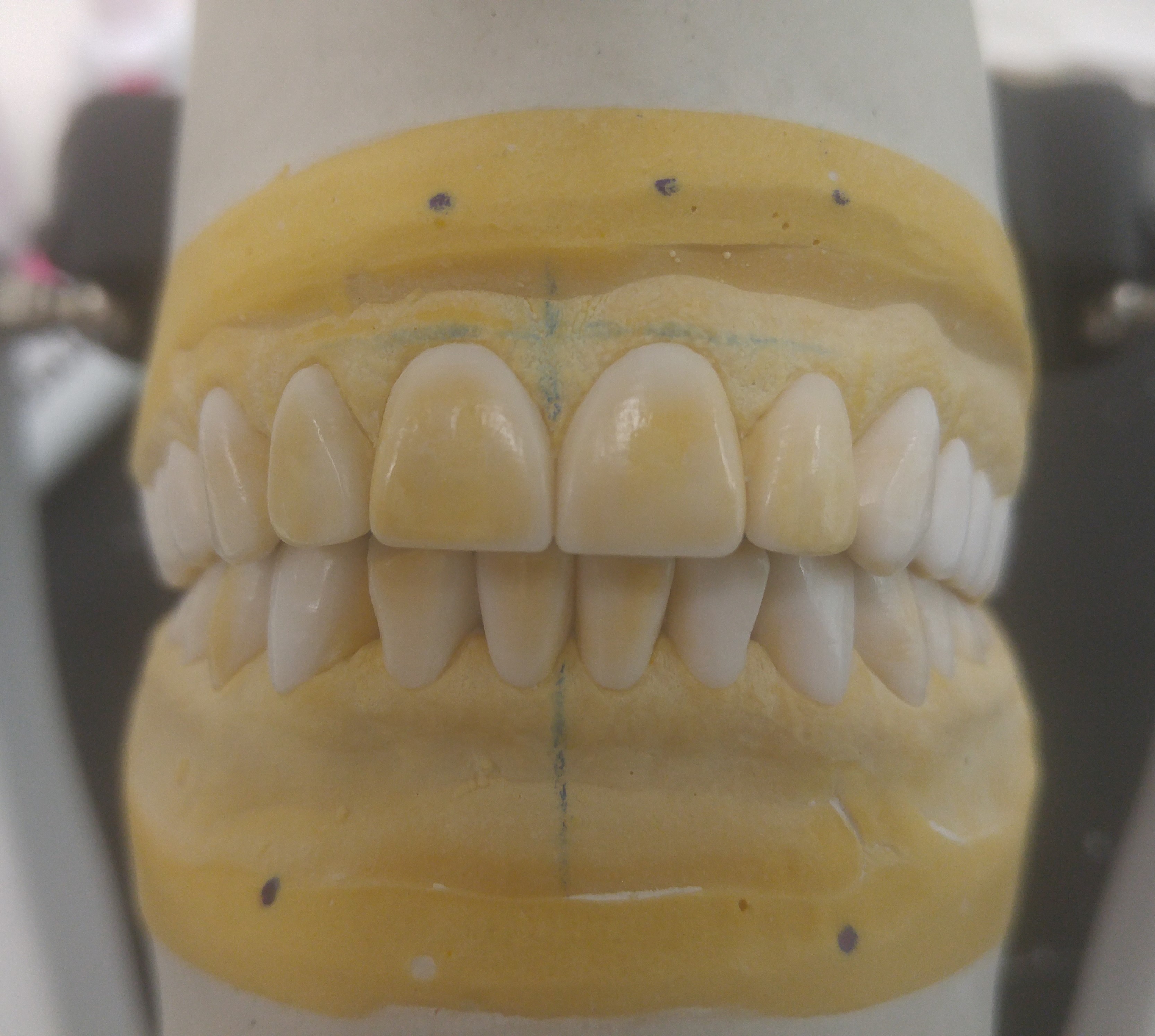 20161007_130234 (1).jpg